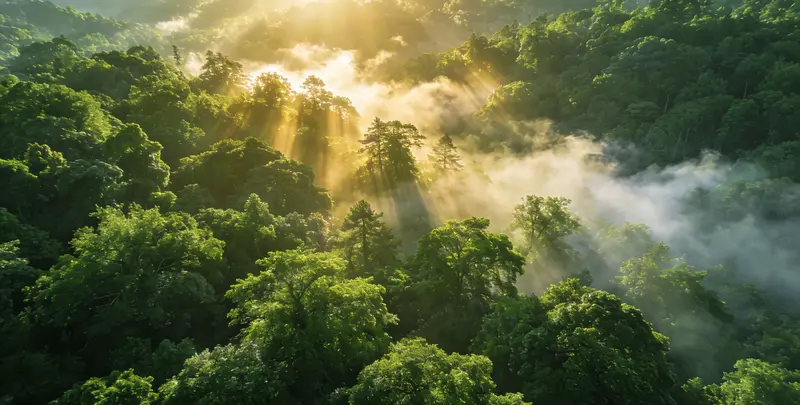 嘉兴肺癌11基因检测组织版图片1