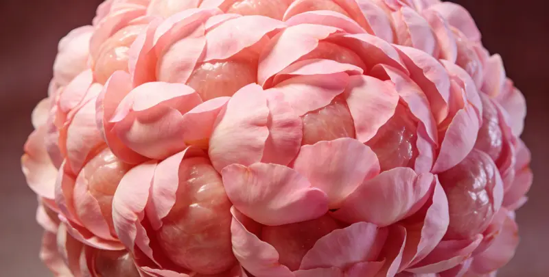 嘉兴BRCA1/2乳腺癌卵巢癌基因检测图片1